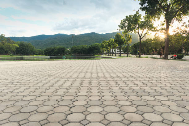 Best Local Driveway Pavers  in New Paleste, IN